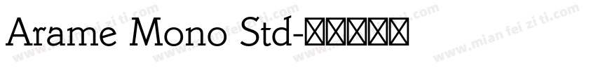 Arame Mono Std字体转换